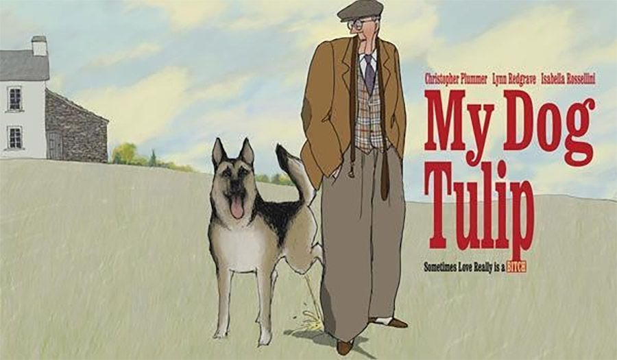 My Dog Tulip