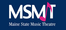 msmt logo